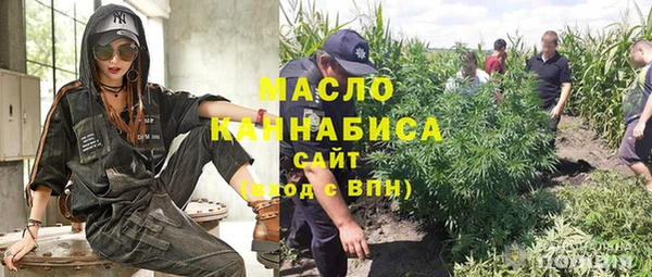 прущие грибы Абаза