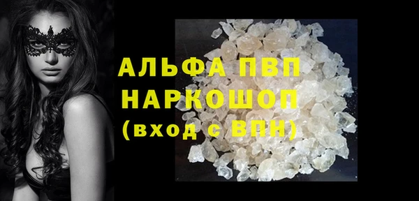 прущие грибы Абаза