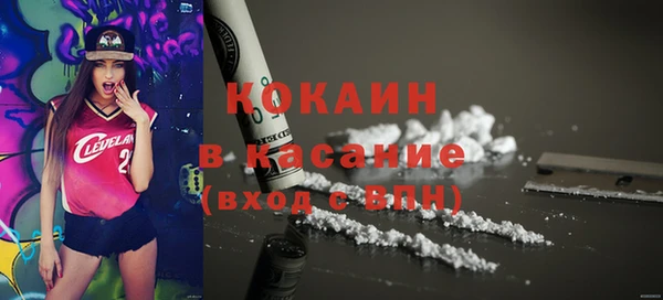 гашик Алексин