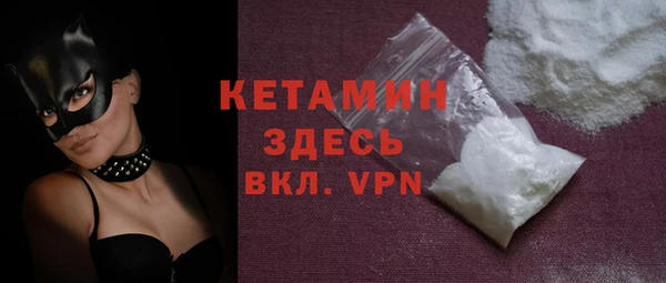 гашик Алексин