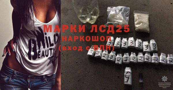 прущие грибы Абаза