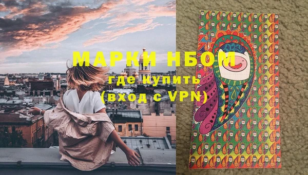 прущие грибы Абаза