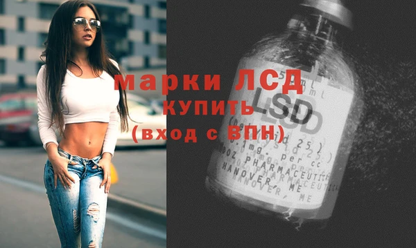 прущие грибы Абаза