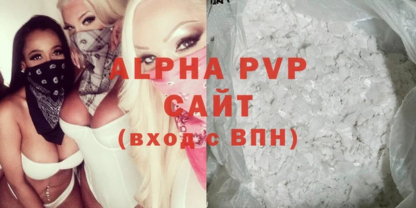 прущие грибы Абаза