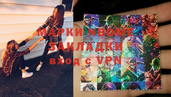 гашик Алексин