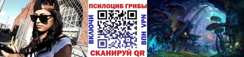 Галлюциногенные грибы Psilocybe  Зерноград 